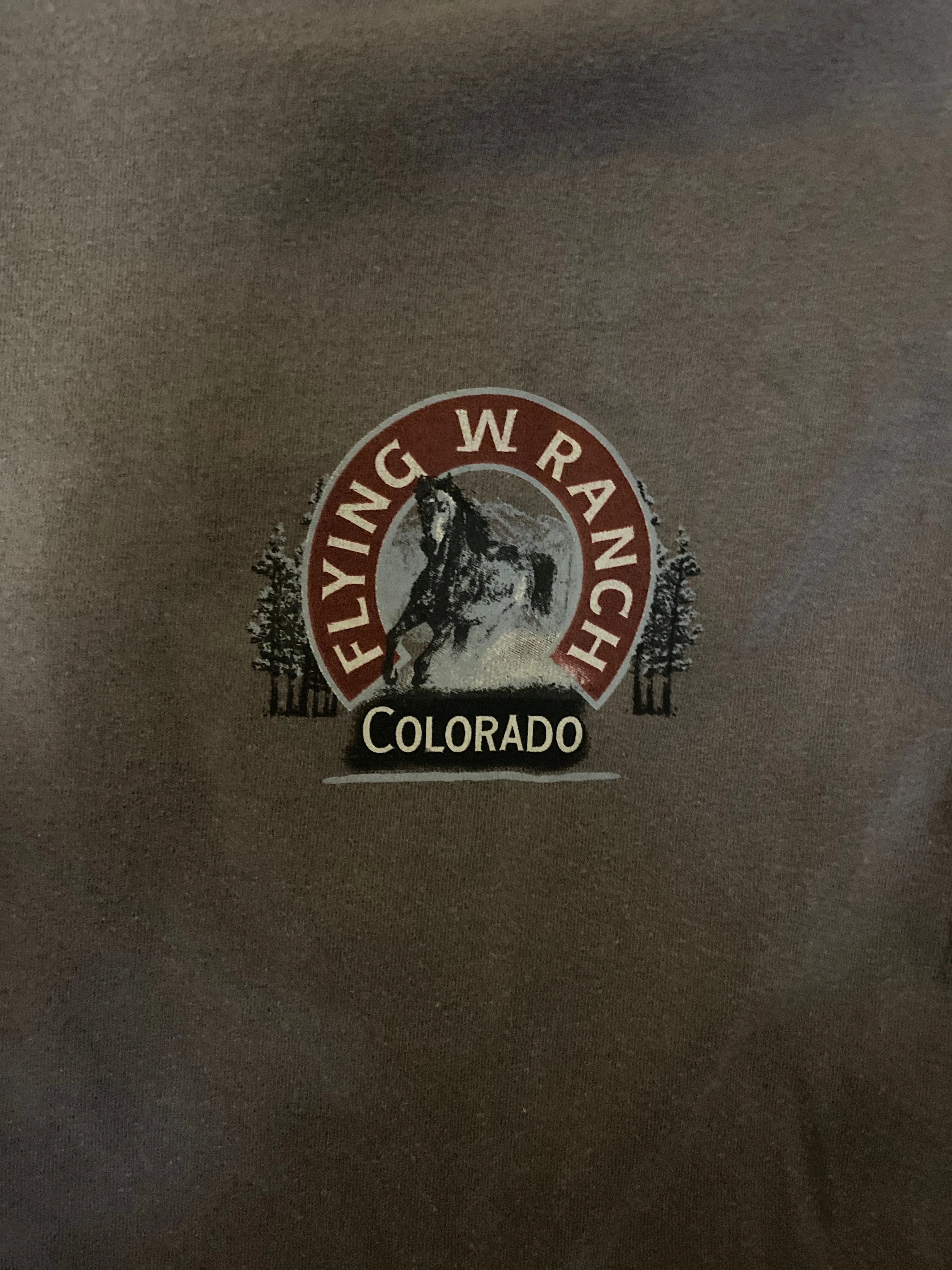 Long Sleeve Dark Brown Wild West T-Shirt
