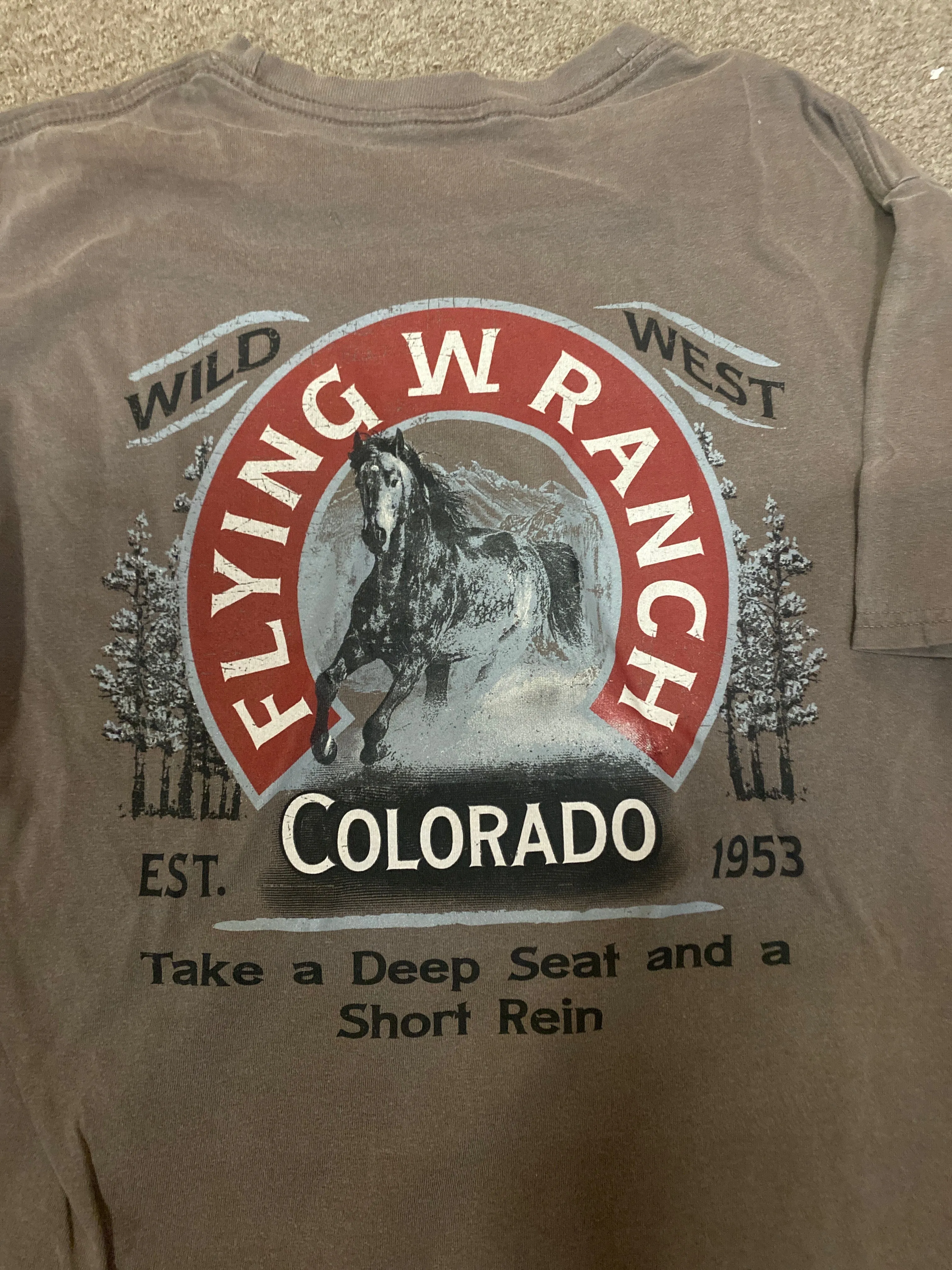 Long Sleeve Dark Brown Wild West T-Shirt