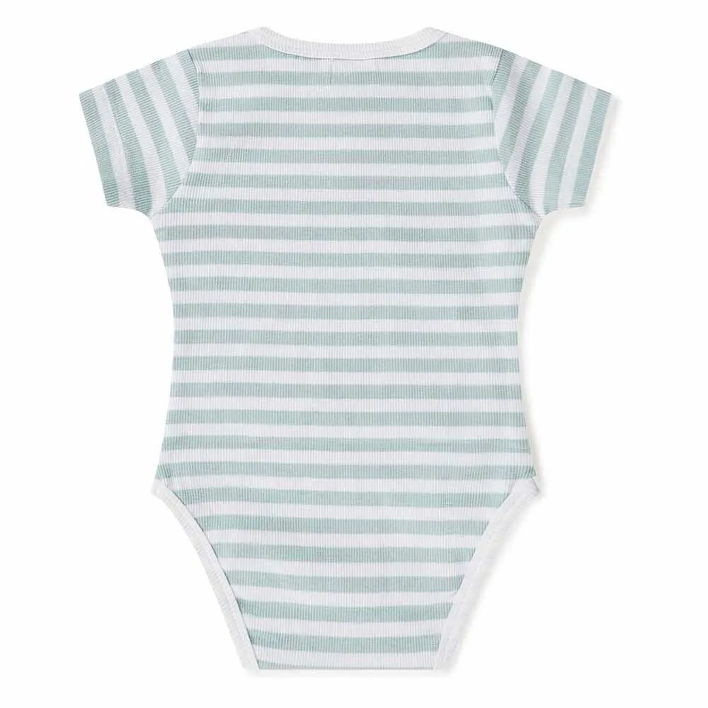 Sage Stripe Short Sleeve Organic Bodysuit